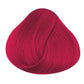 Rose Red