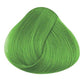 Spring Green