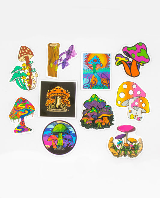 Forest Mushrooms - 10 Pack