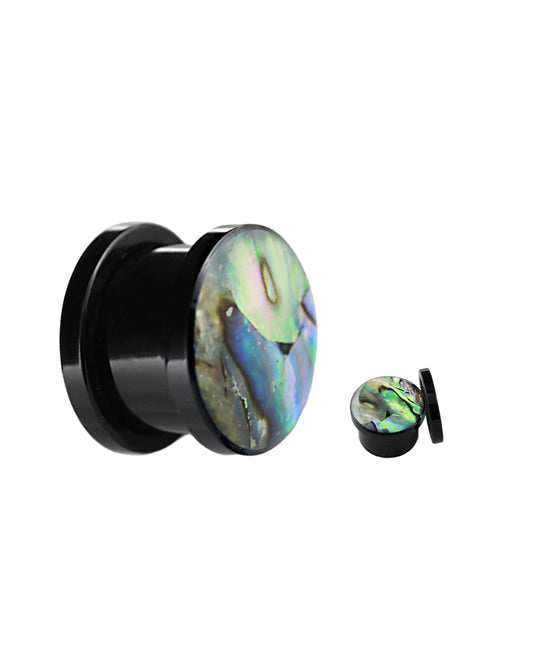 Paua Shell - Acrylic Plug